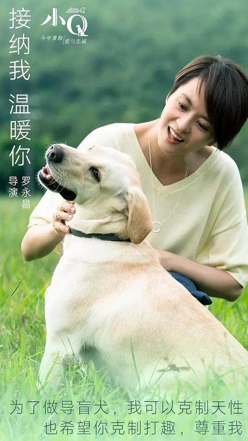 假结婚证的制作